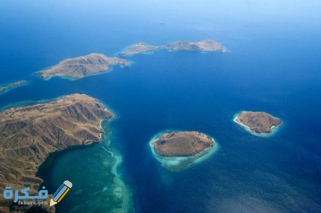 جزيرة كومودو