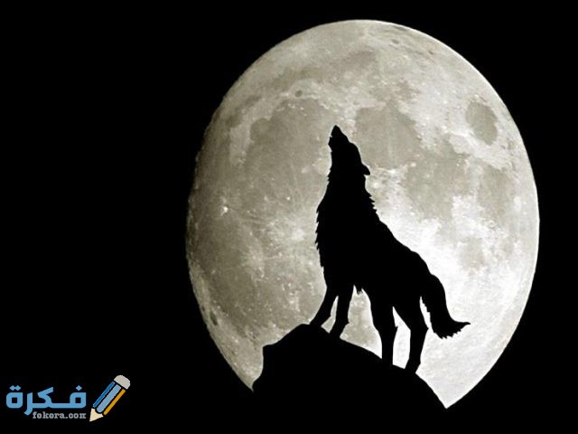 2017 7 24 22 29 12 37