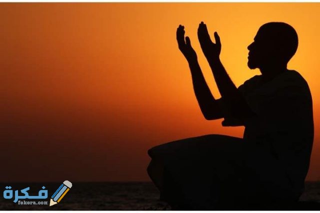 22019242017446601073