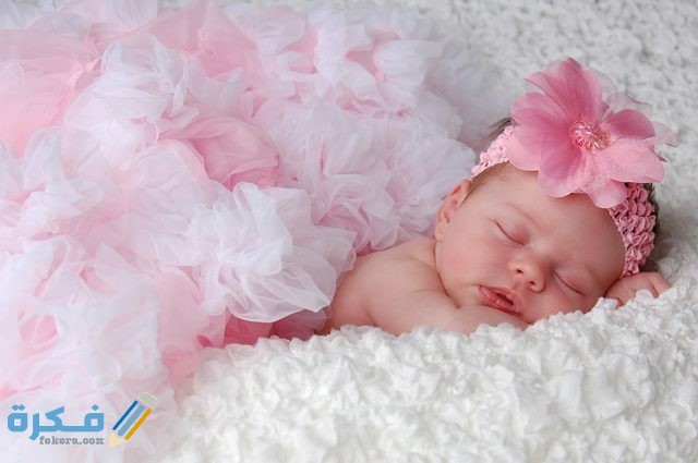 320 3202604 newborn baby photos cute newborn baby girl collective
