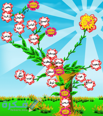 3c0b41ca7d3786fd0fd9a77cce548168