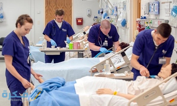 593667ede2f741496737773 1