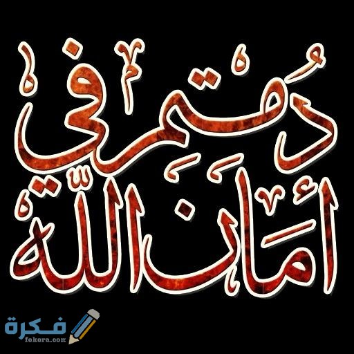 5bcc8123d4bcea6de5597980999b12fc