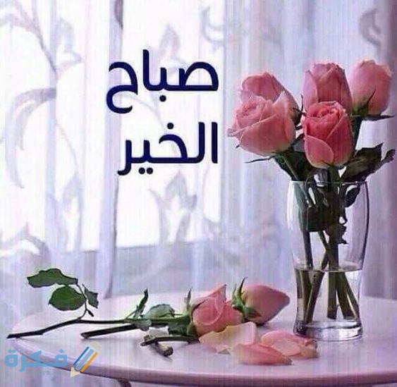 ما هو الرد على صباح الخير
