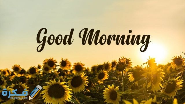 ما هو الرد على good morning Good Morning 1280x720 1