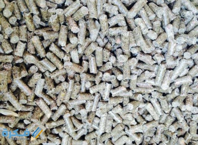 IMG ٢٠٢٠١٠٠٦ ١٢٢٨٣٥