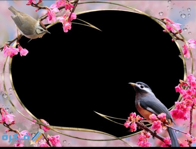 IMG ٢٠٢٠١٠٢١ ١١١٥٥٧ 1