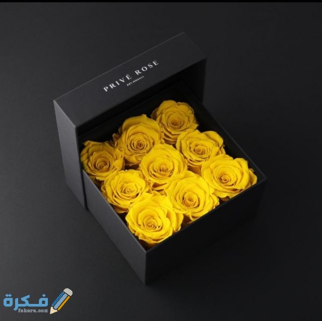 IMG ٢٠٢٠١٠٢١ ١٥٣٥٣٤