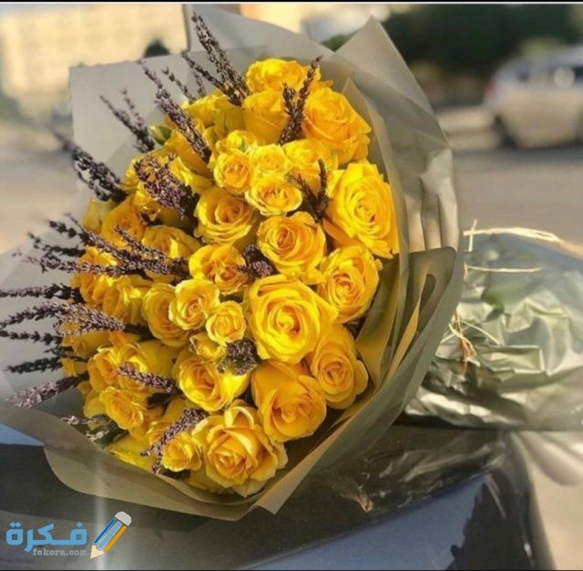 IMG ٢٠٢٠١٠٢١ ١٥٣٥٥٢