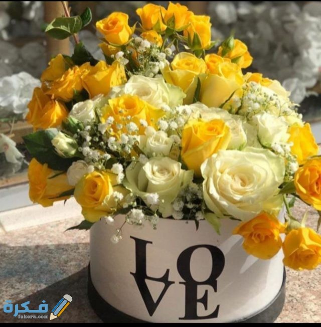 IMG ٢٠٢٠١٠٢١ ١٥٣٦٠٦