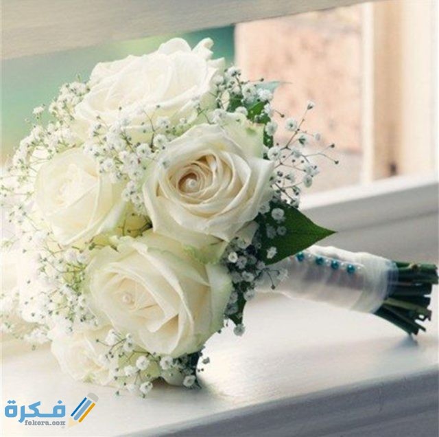 IMG ٢٠٢٠١٠٢١ ١٥٣٦٢٤