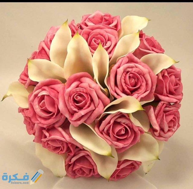 IMG ٢٠٢٠١٠٢١ ١٥٤٠٢٩