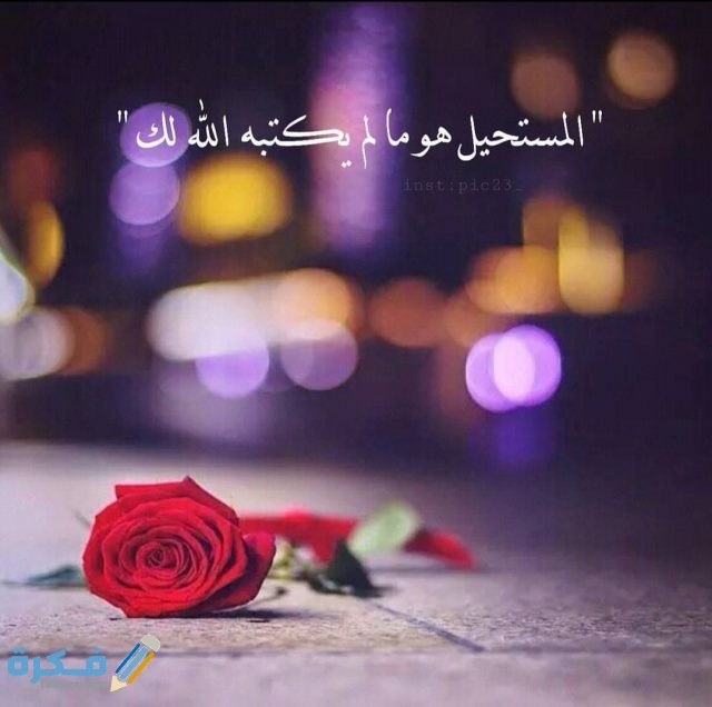 IMG ٢٠٢٠١٠٢١ ٢٢١٥٥١