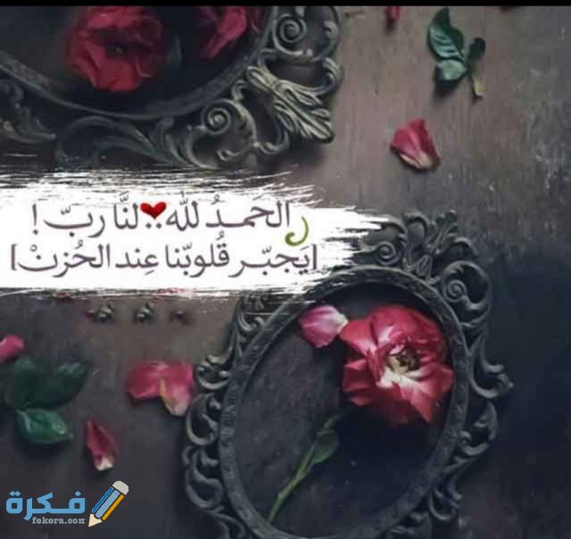 IMG ٢٠٢٠١٠٢١ ٢٢١٦٠٥