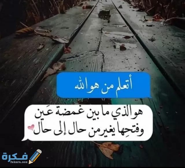 IMG ٢٠٢٠١٠٢١ ٢٢١٧١٨