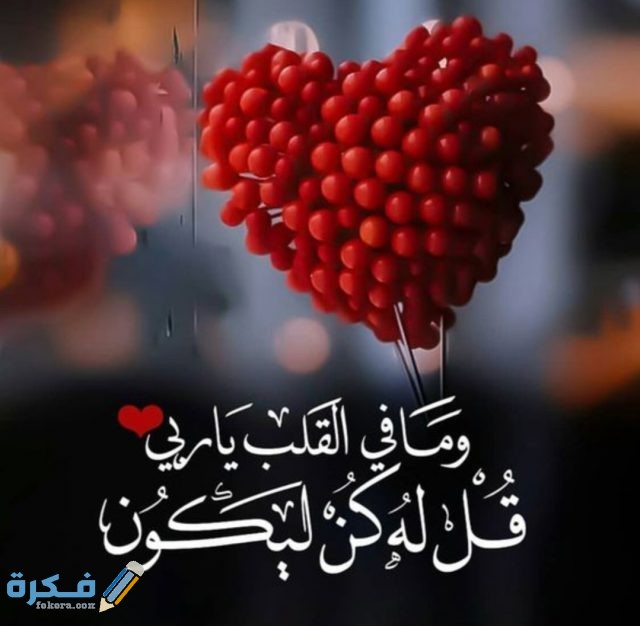 IMG ٢٠٢٠١٠٢١ ٢٢١٨١٤