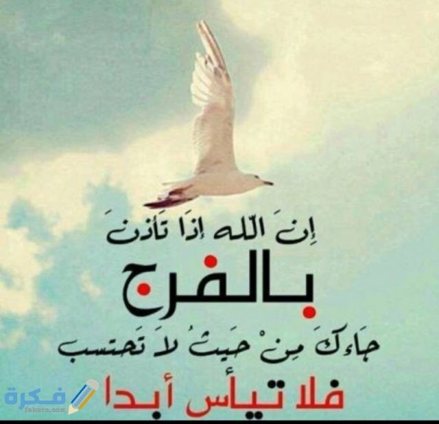 IMG ٢٠٢٠١٠٢١ ٢٢١٩١٣