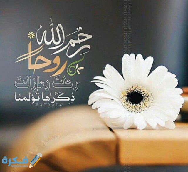 IMG ٢٠٢٠١٠٢١ ٢٢٢٠٠٠