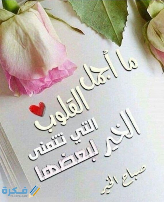 IMG ٢٠٢٠١٠٢١ ٢٢٣٠٣٩