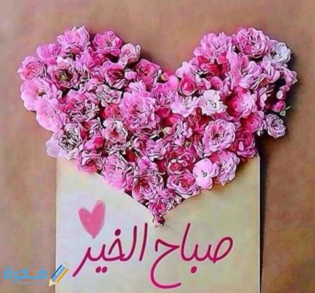 IMG ٢٠٢٠١٠٢١ ٢٢٣١٠٩