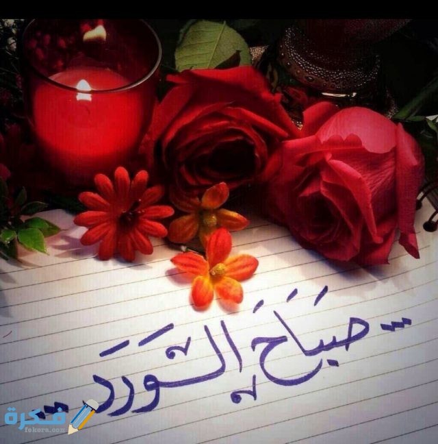 IMG ٢٠٢٠١٠٢١ ٢٢٣٢١٢