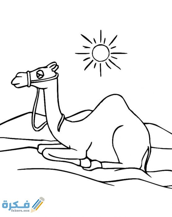 IMG ٢٠٢٠١٠٢١ ٢٢٤٢١٣