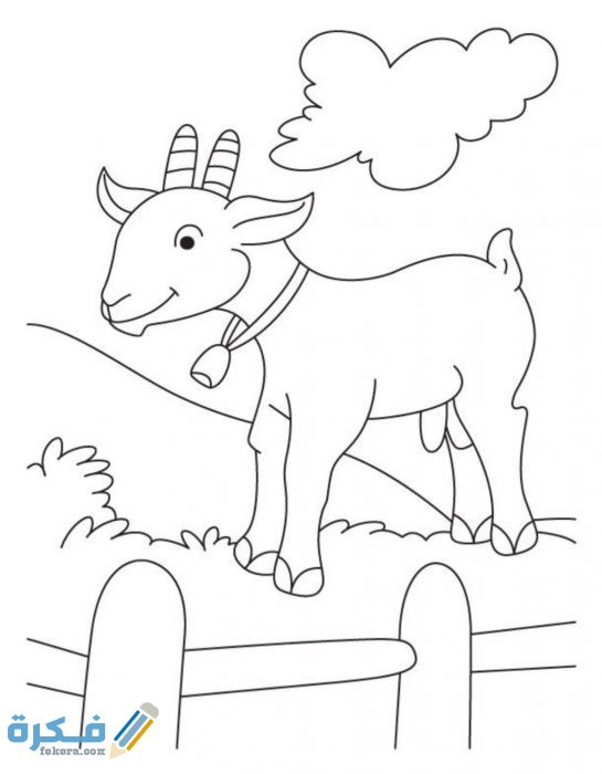 IMG ٢٠٢٠١٠٢١ ٢٢٤٢٤٠