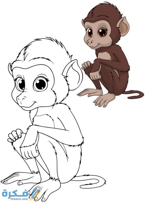 IMG ٢٠٢٠١٠٢١ ٢٢٤٤٠٦