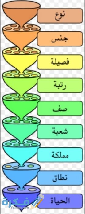 IMG ٢٠٢٠١٠٢٢ ٢١٤٦٥٨