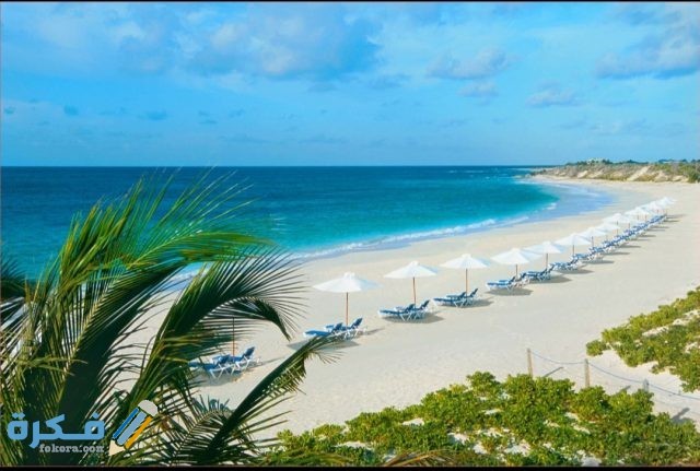 صور بحر 2021 روعة IMG ٢٠٢٠١٠٢٣ ١٠٢٠٠٢