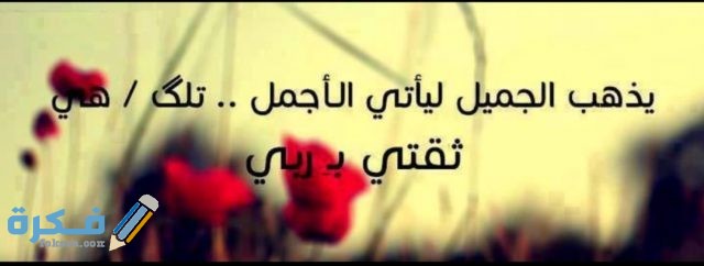 IMG ٢٠٢٠١٠٢٣ ١١٥٤٢٩