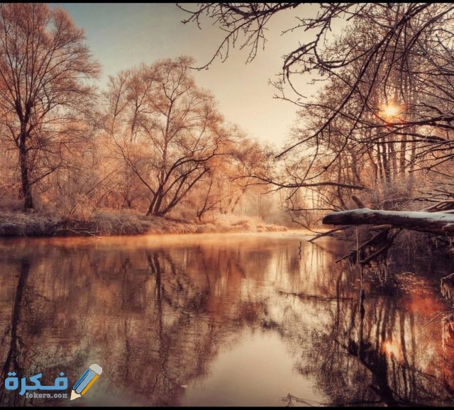 IMG ٢٠٢٠١٠٢٣ ١٢٠٠١٢ 1