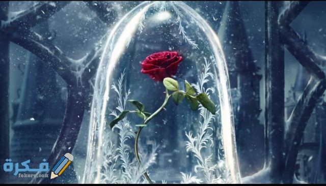 IMG ٢٠٢٠١٠٢٣ ١٢٠٠٣٠ 1