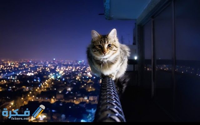 IMG ٢٠٢٠١٠٢٣ ١٢٠٢٥٢