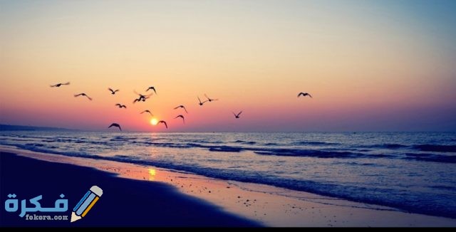 IMG ٢٠٢٠١٠٢٣ ١٢٠٣٠٥