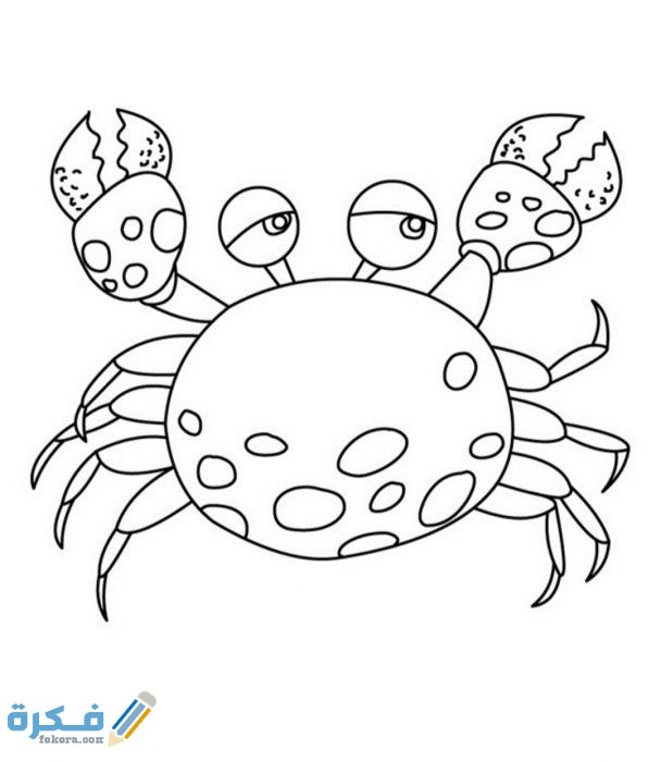 IMG ٢٠٢٠١٠٢٣ ١٢١٠٤٨