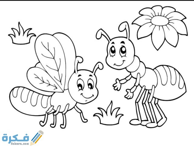 IMG ٢٠٢٠١٠٢٣ ١٢١١٠٤