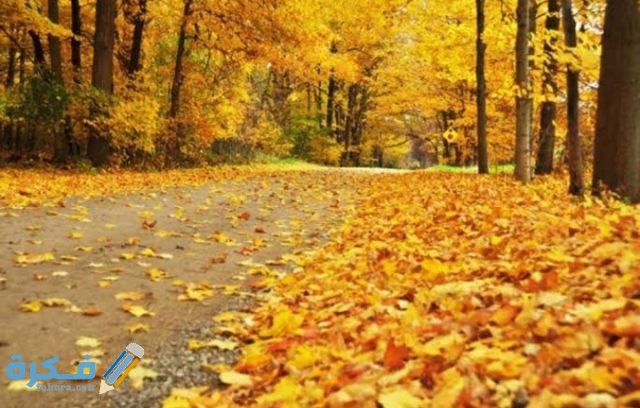 IMG ٢٠٢٠١٠٢٣ ٢٣٣٧٠٠