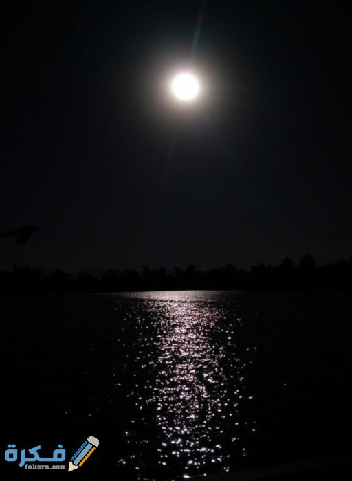 IMG ٢٠٢٠١٠٢٤ ١٤٢٤٤٠