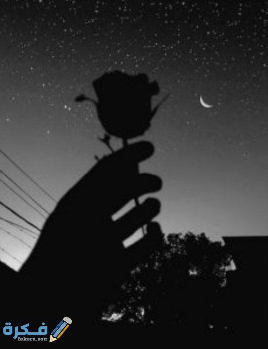 IMG ٢٠٢٠١٠٢٤ ١٤٢٥٢٩