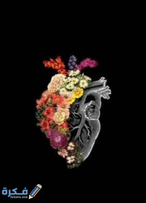 IMG ٢٠٢٠١٠٢٤ ١٤٢٦٢٦