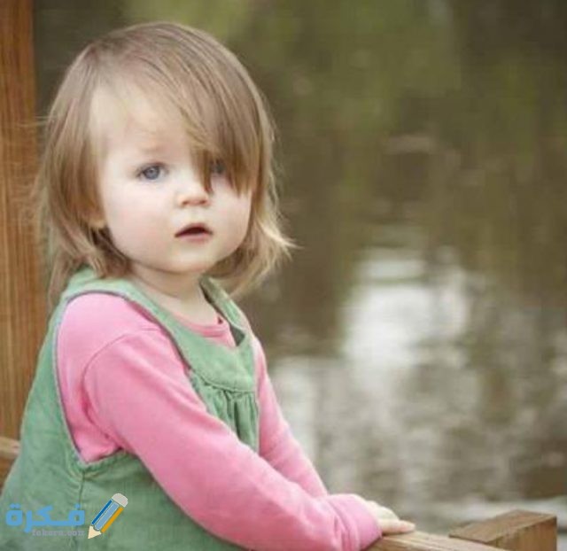 IMG ٢٠٢٠١٠٢٤ ١٥٠٥٣١