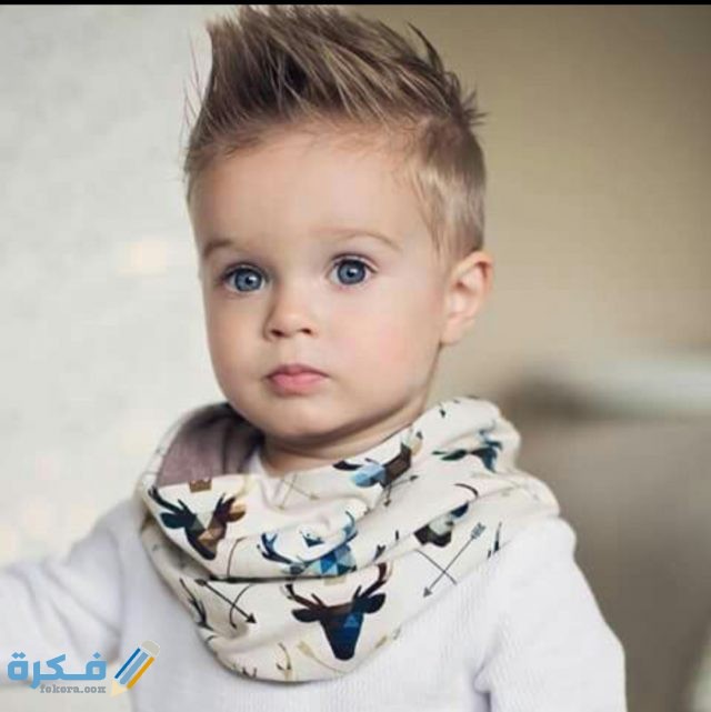 IMG ٢٠٢٠١٠٢٤ ١٥٠٧٠٢