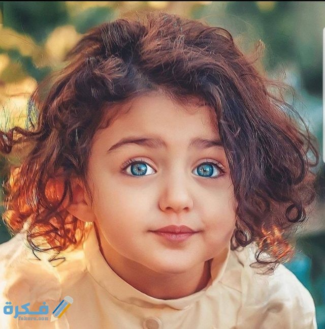 IMG ٢٠٢٠١٠٢٤ ١٥٠٧٣٣