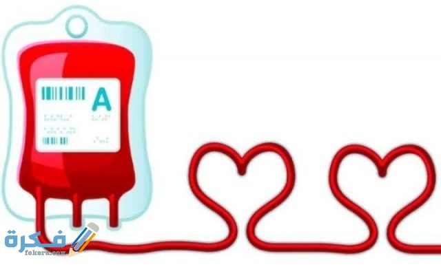 IMG ٢٠٢٠١٠٢٥ ٠٠٢٦٤١