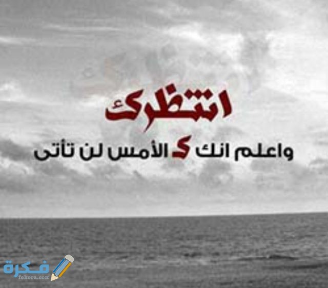 IMG ٢٠٢٠١٠٢٥ ١١٥٢٥٧