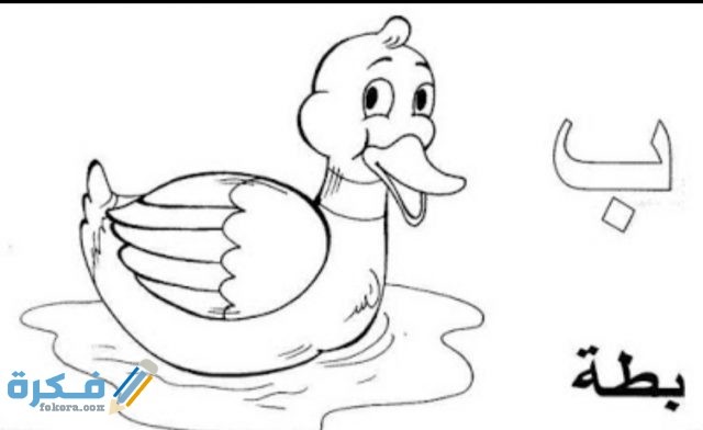 IMG ٢٠٢٠١٠٢٥ ١٣٠٠١٨