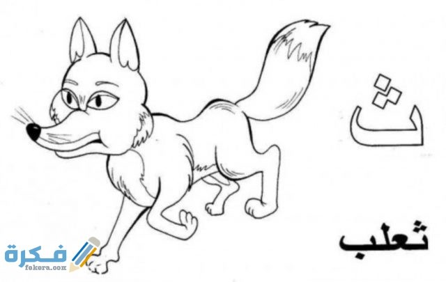 IMG ٢٠٢٠١٠٢٥ ١٣٠٠٣٧