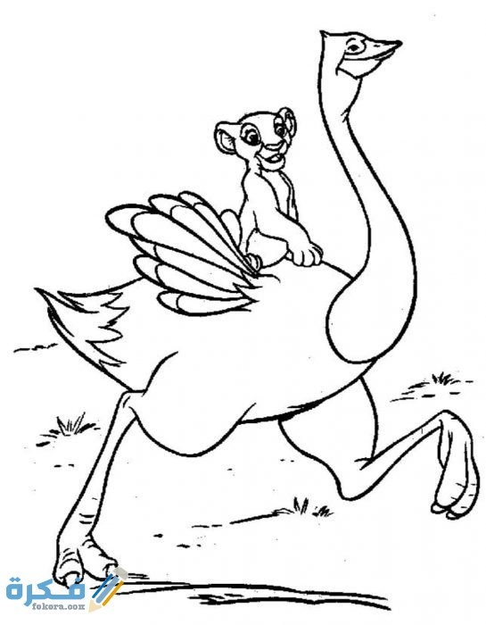 IMG ٢٠٢٠١٠٢٥ ١٣٠١٤٢