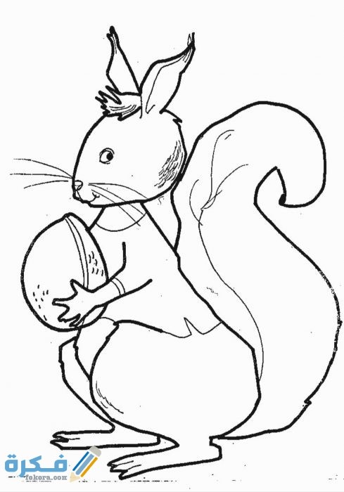 IMG ٢٠٢٠١٠٢٥ ١٣٠٢٠٦